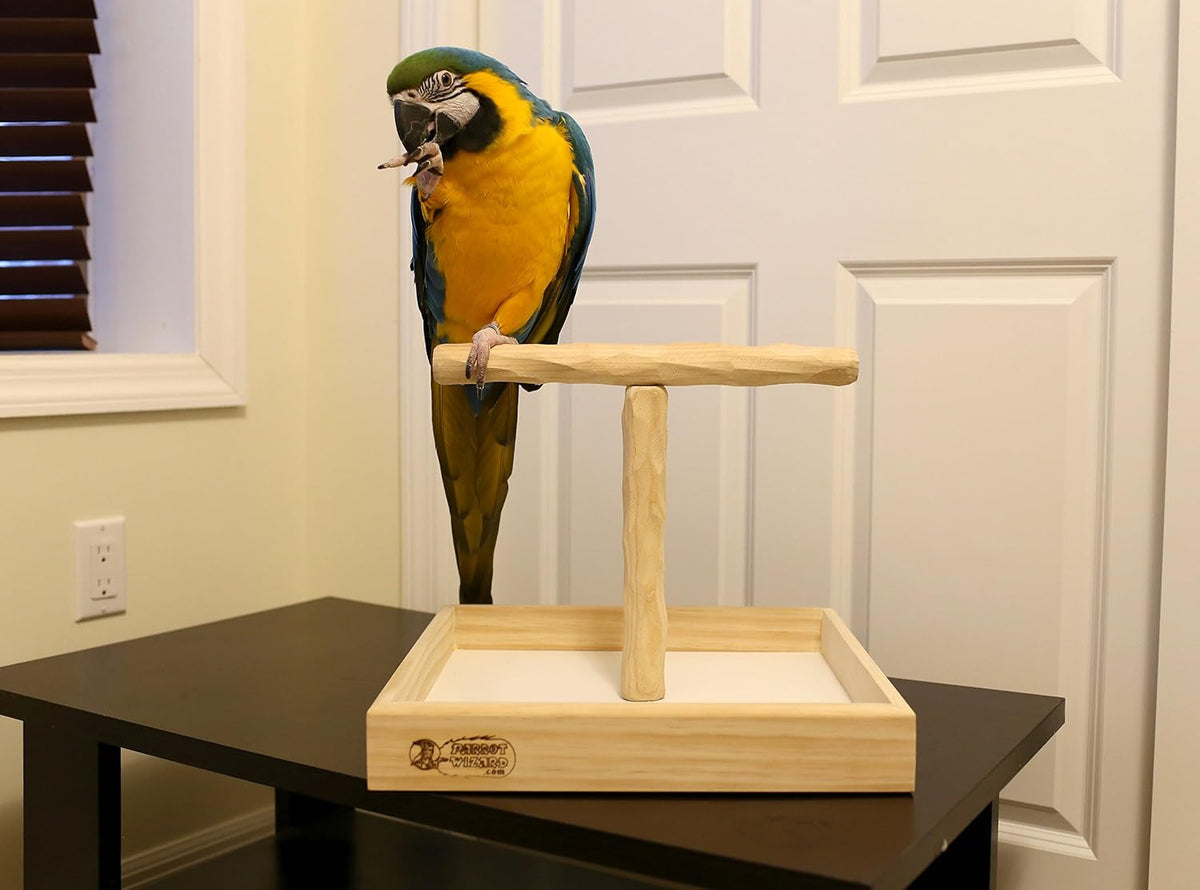 deluxe large tabletop nu perch - parrot t, side view