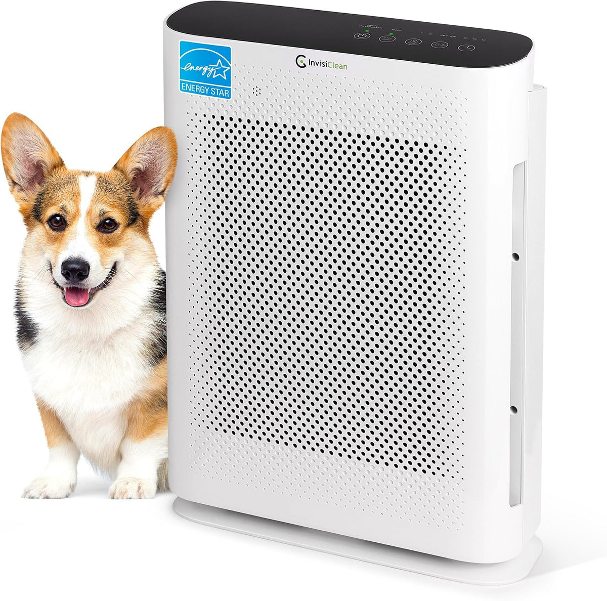 air purifier for home allergies & pets |, main product view