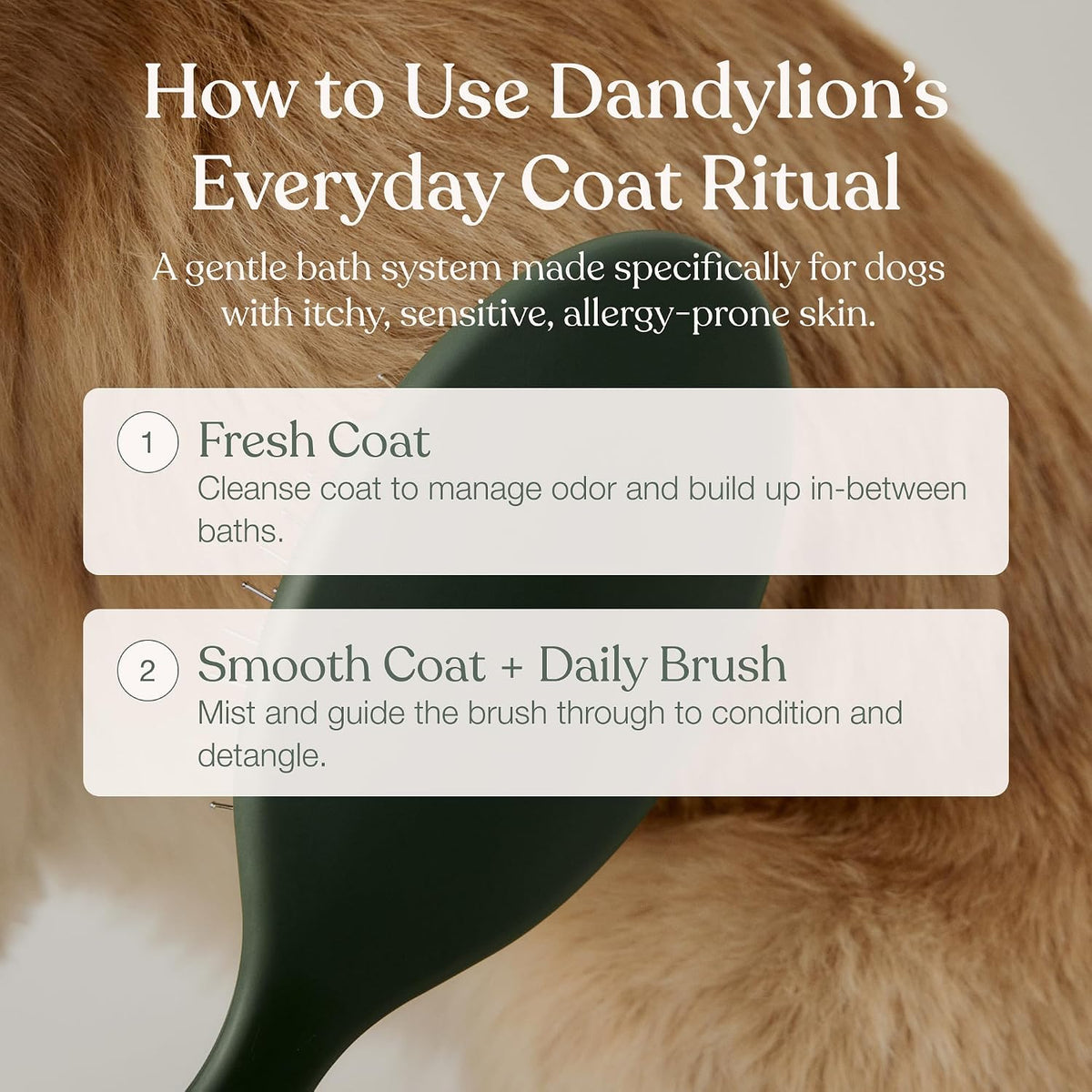 dandylion coat care trio, waterless shampoo, doodle detangler showing dimensions
