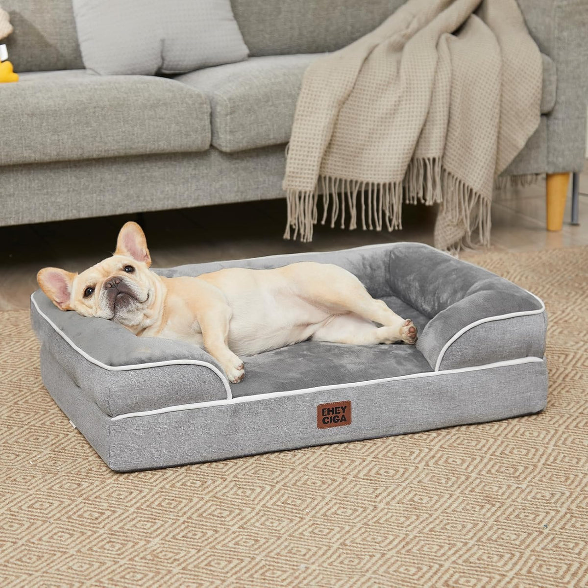 eheyciga orthopedic dog bed medium size dog, waterproof, front angle view