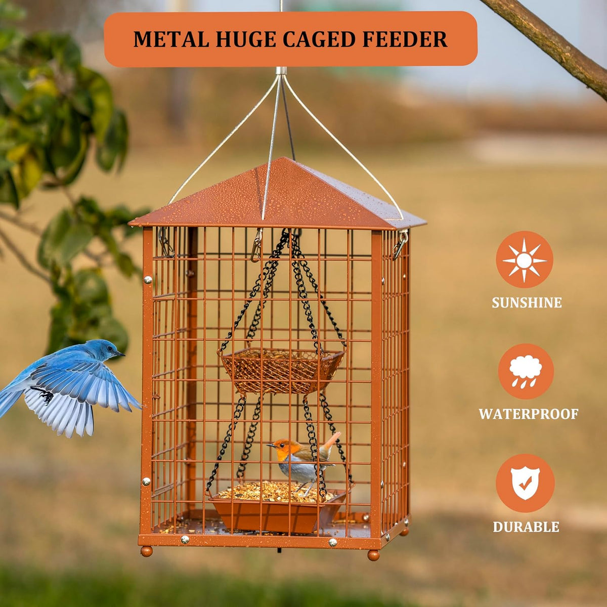 mealworms bird feeders for bluebirds - metal, close-up detail
