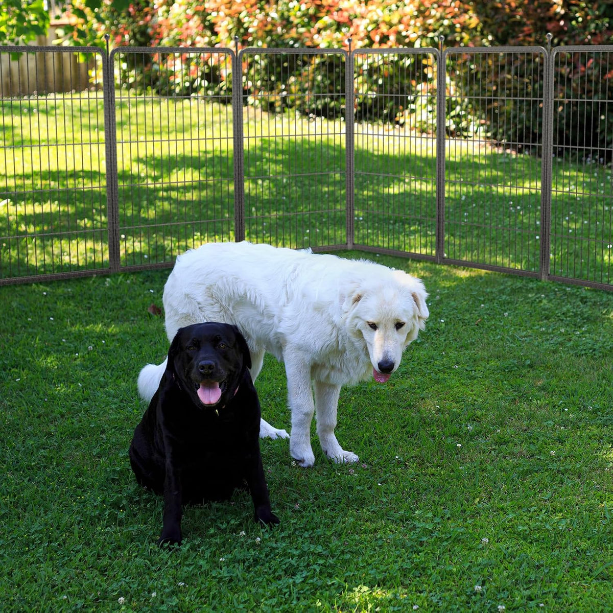 fxw aster dog playpen designed for yard, 40" shown in use
