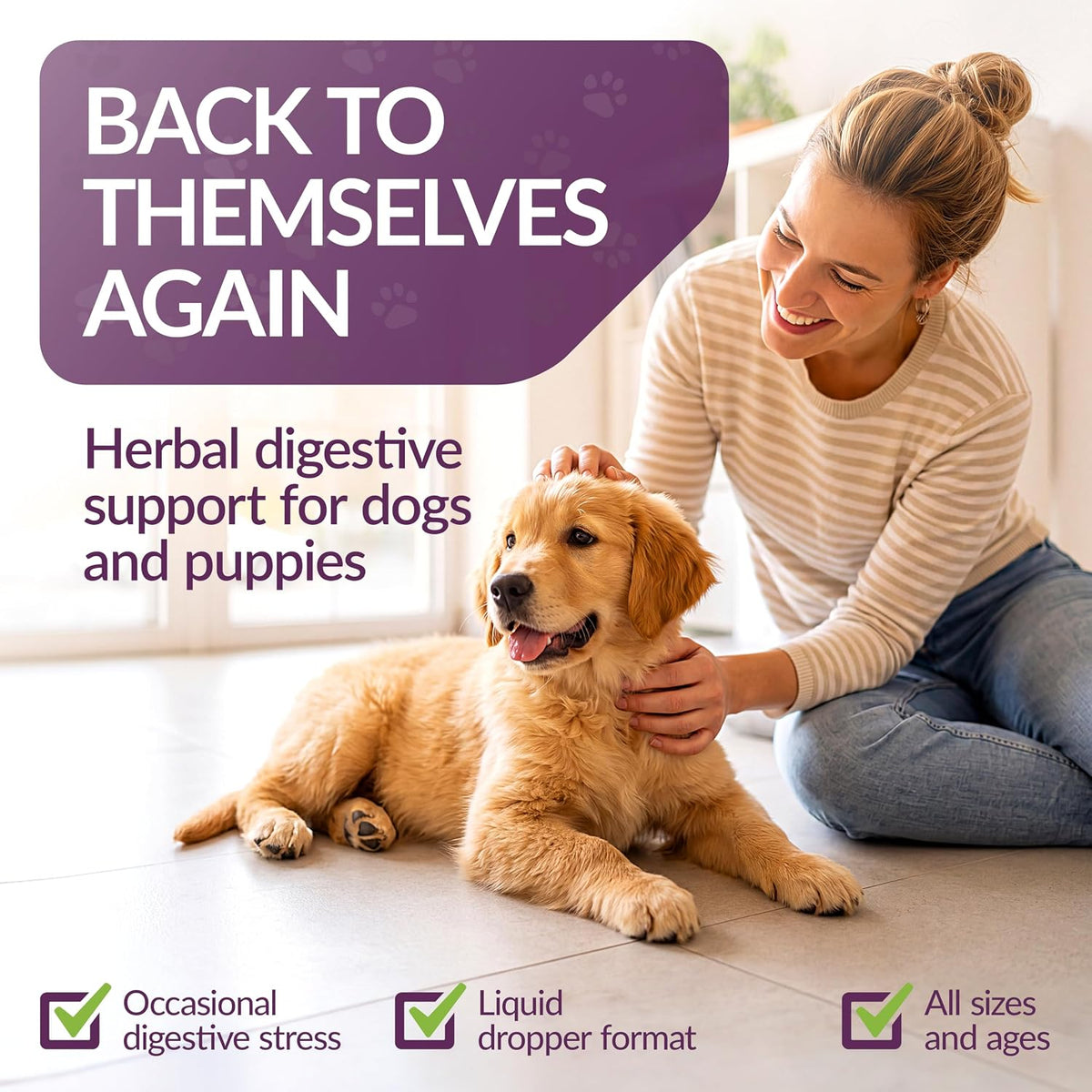 amber naturalz paxaid dog digestive rescue drops, herbal shown in use