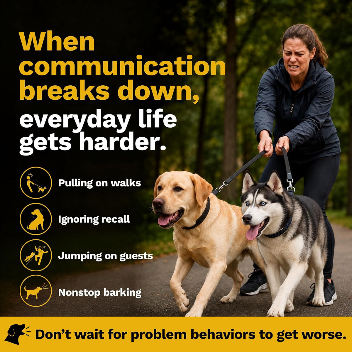 educator ez-902 e collar for dog training with, close-up detail