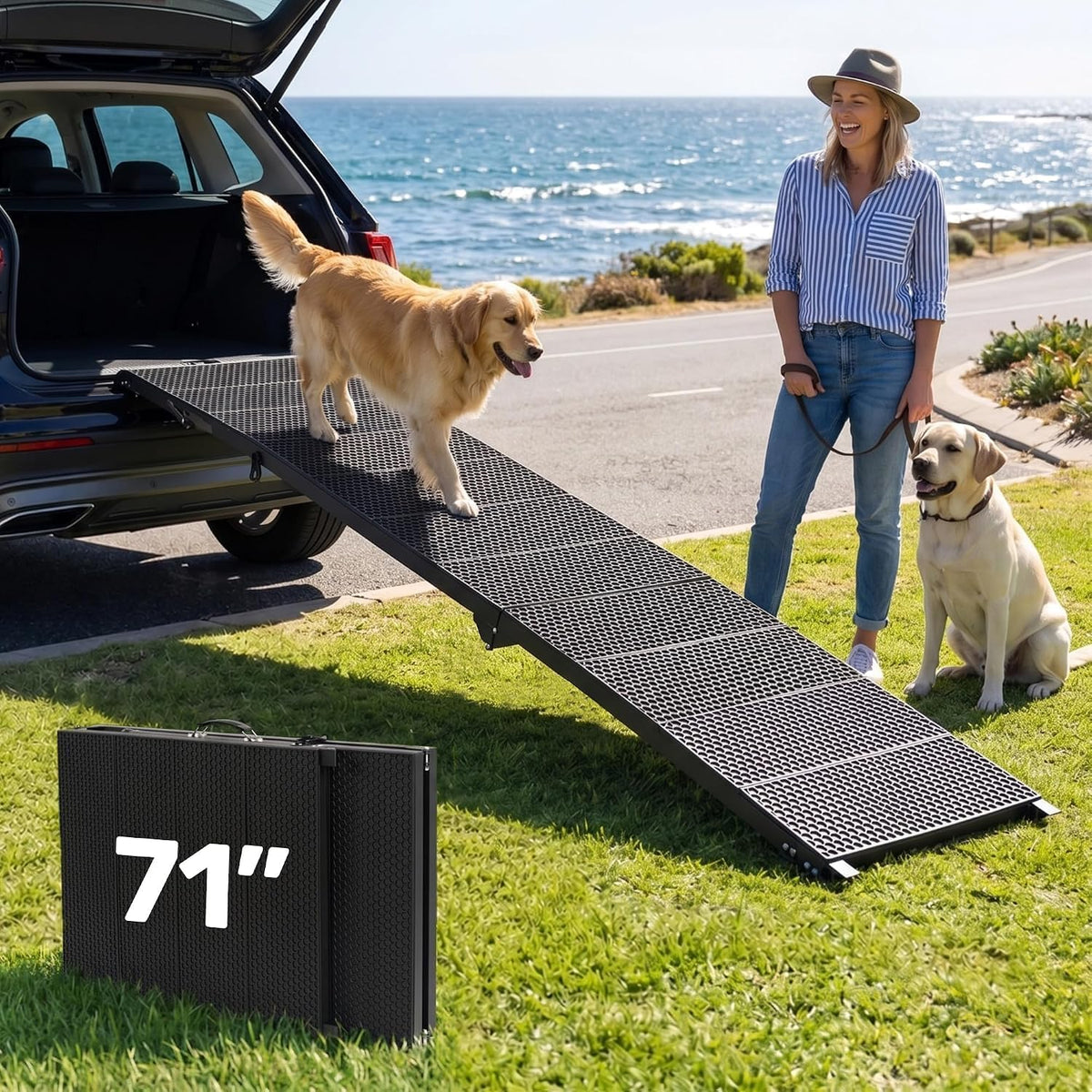 heeyoo 71" extra long dog ramp for car, main product view