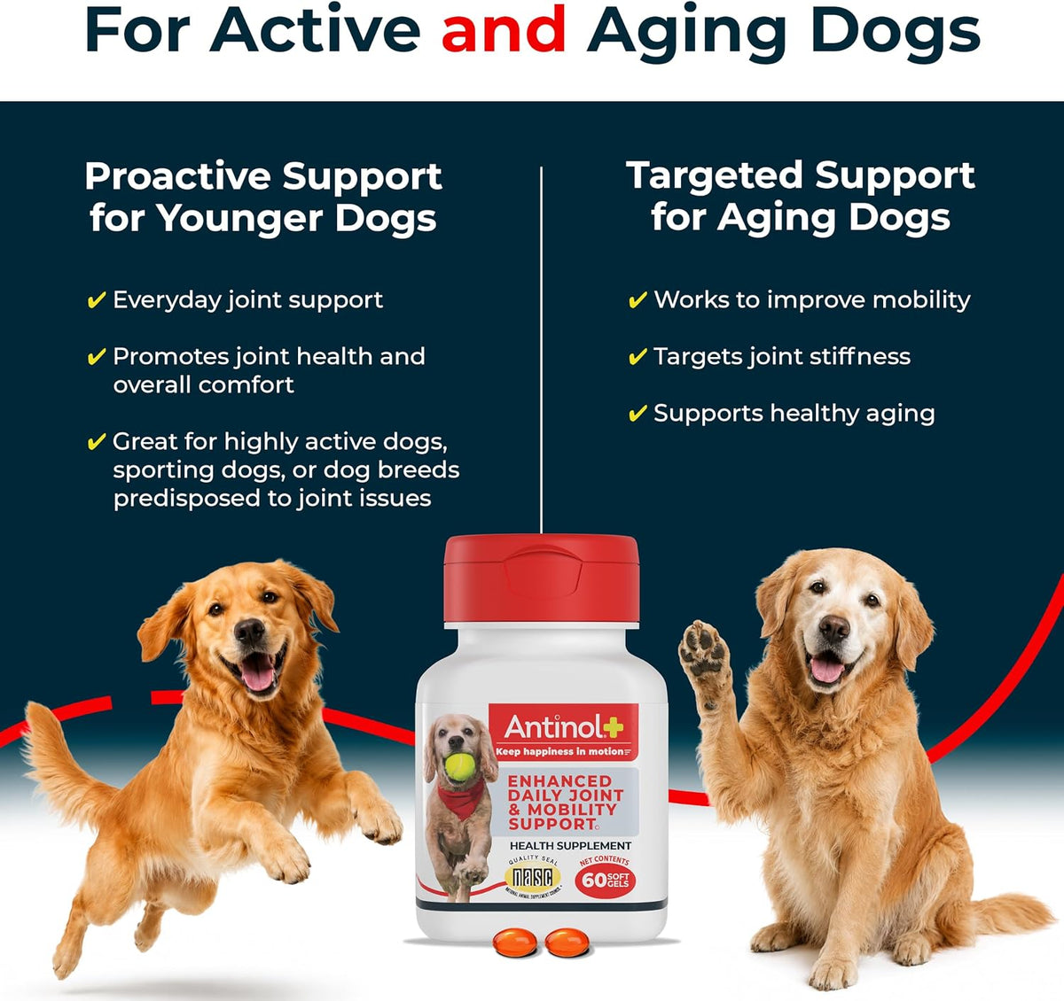 antinol plus mobility hip & joint supplement for, close-up detail