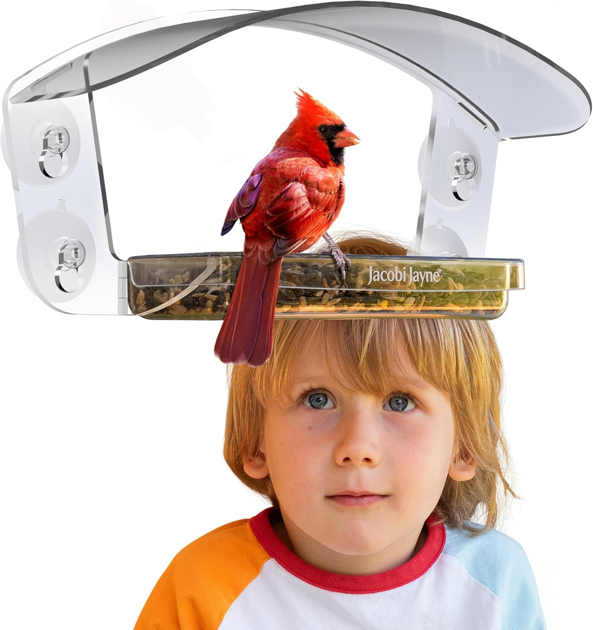 transparent acrylic bird house with sliding tray, main product view