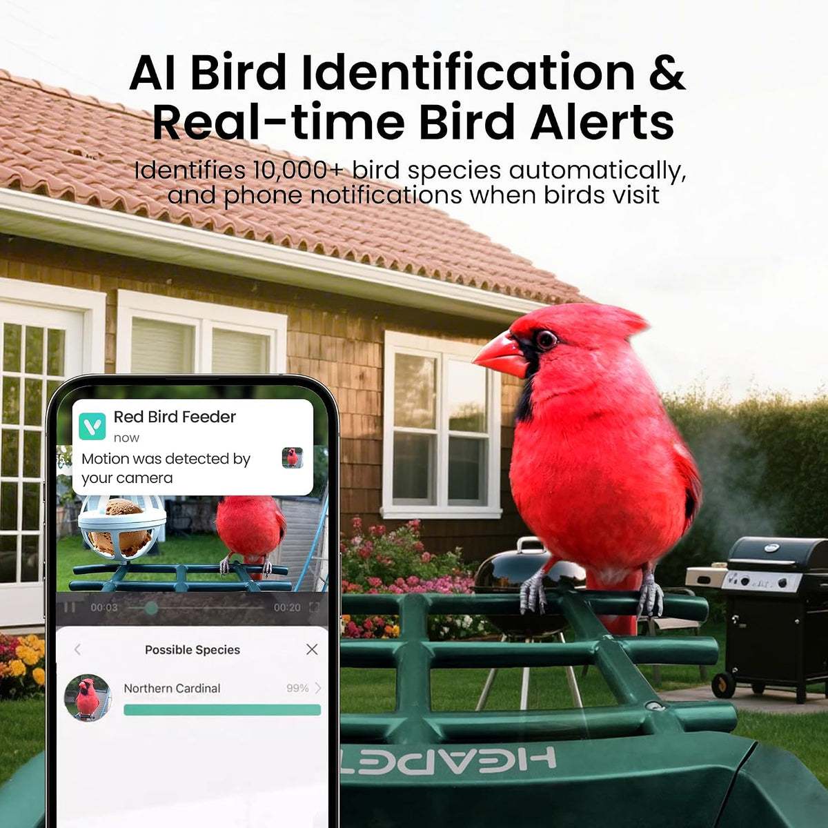 smart bird feeder with camera, 3k hd live, close-up detail