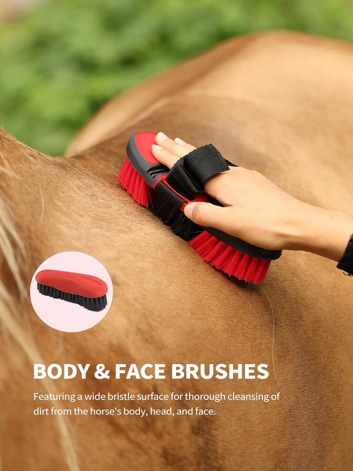 harrison howard horse grooming kit 9 piece with showing dimensions
