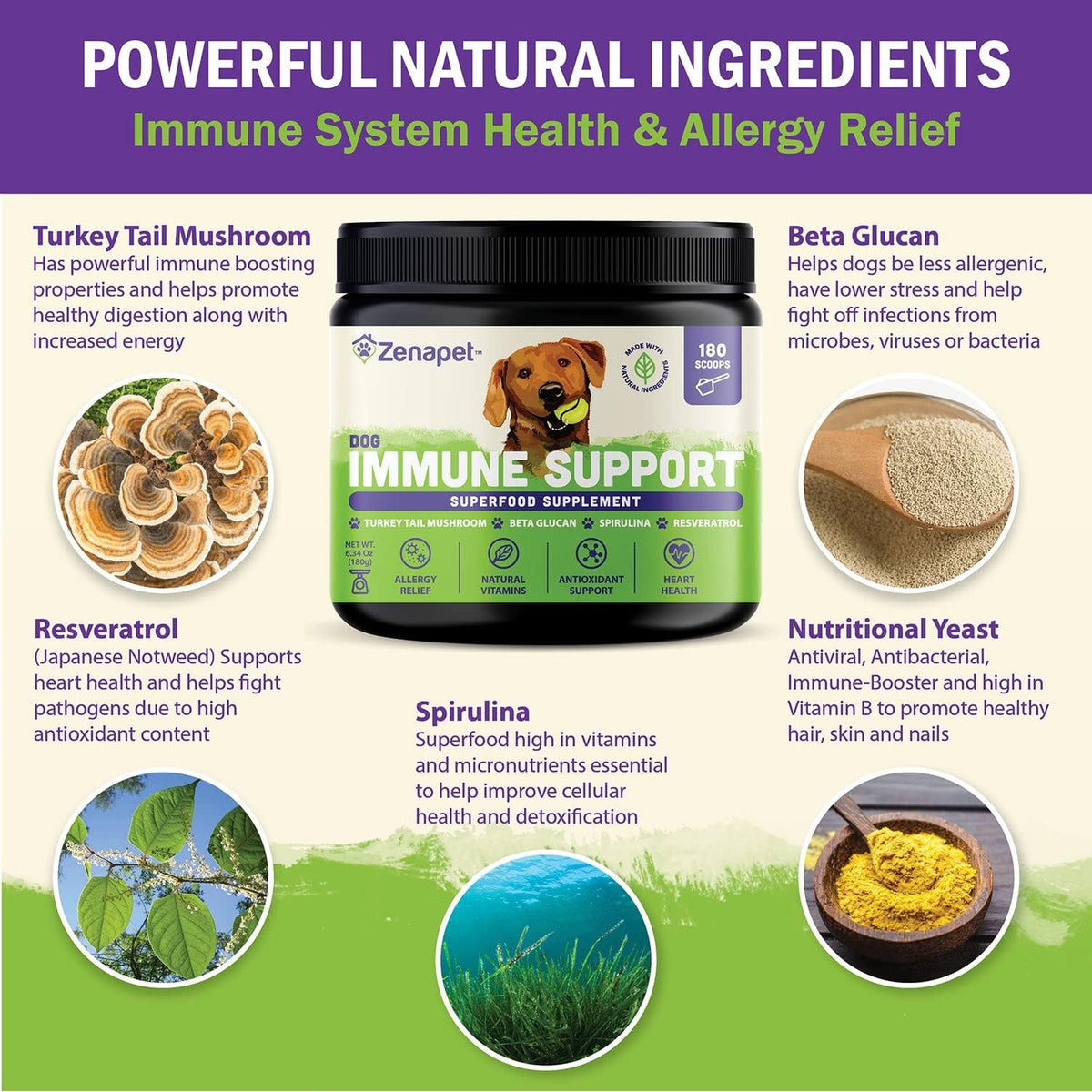 dog immune support premium powder topper, turkey tail, close-up detail