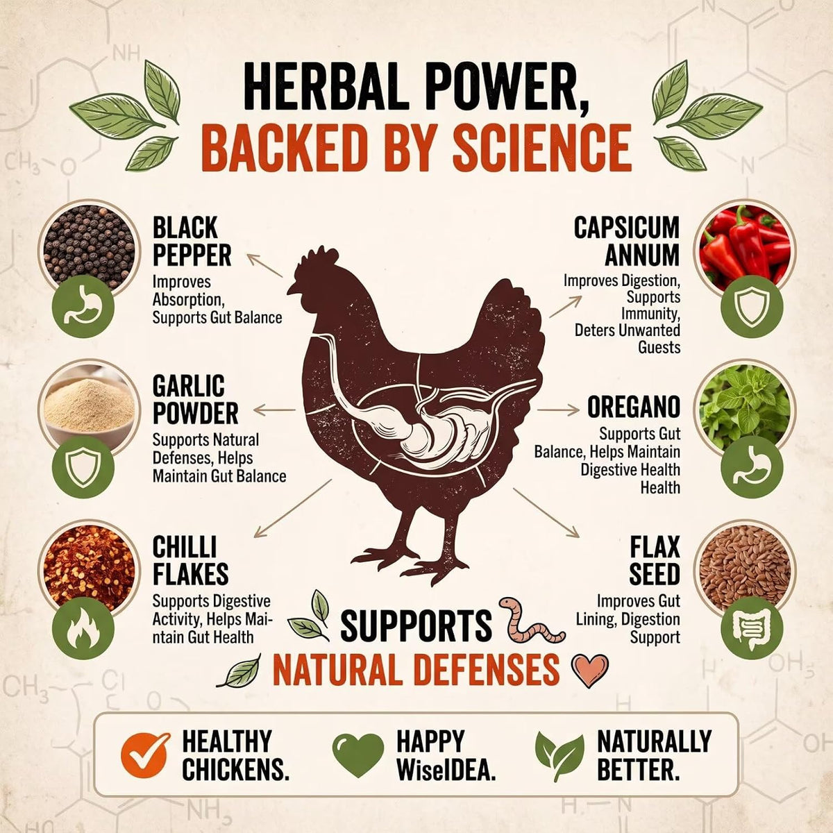 1.5 lb natural chicken flock armor powder for showing dimensions