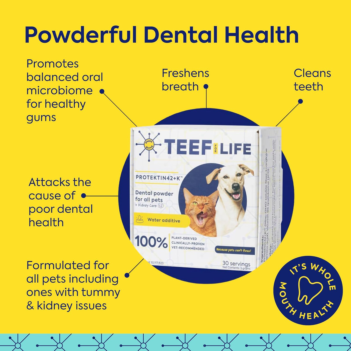 teef for life protektin42 prebiotic dog dental powder shown in use