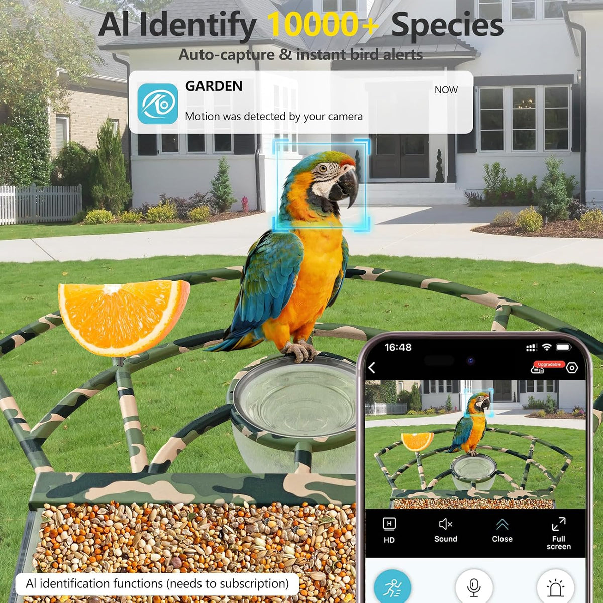 smart bird feeder camera, 4k solar, ai id shown in use