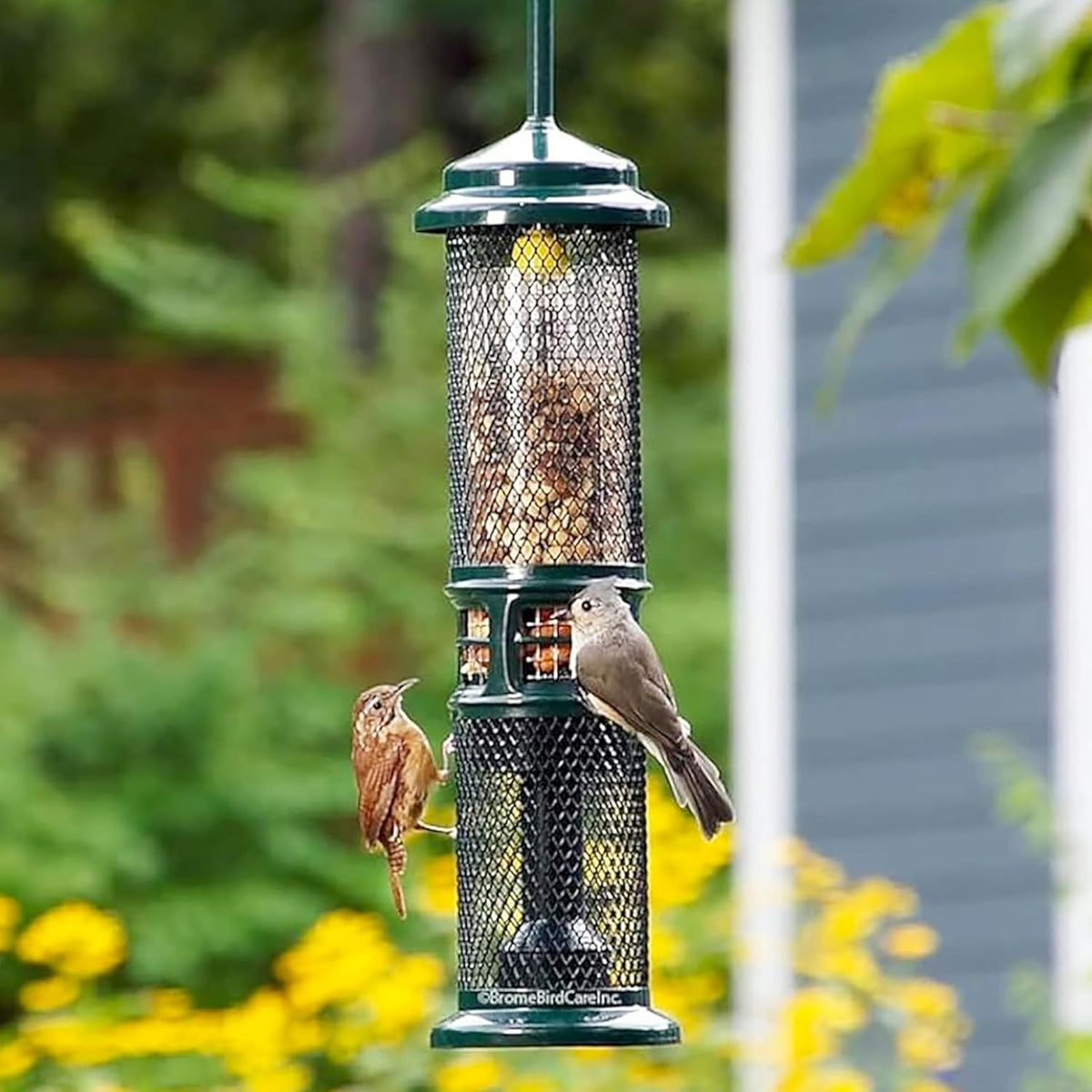squirrel buster nut truly squirrel-proof bird feeder showing dimensions
