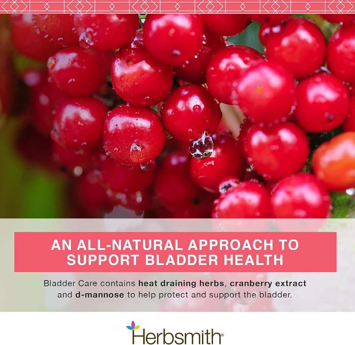 herbsmith bladder care for cats and dogs –, side view