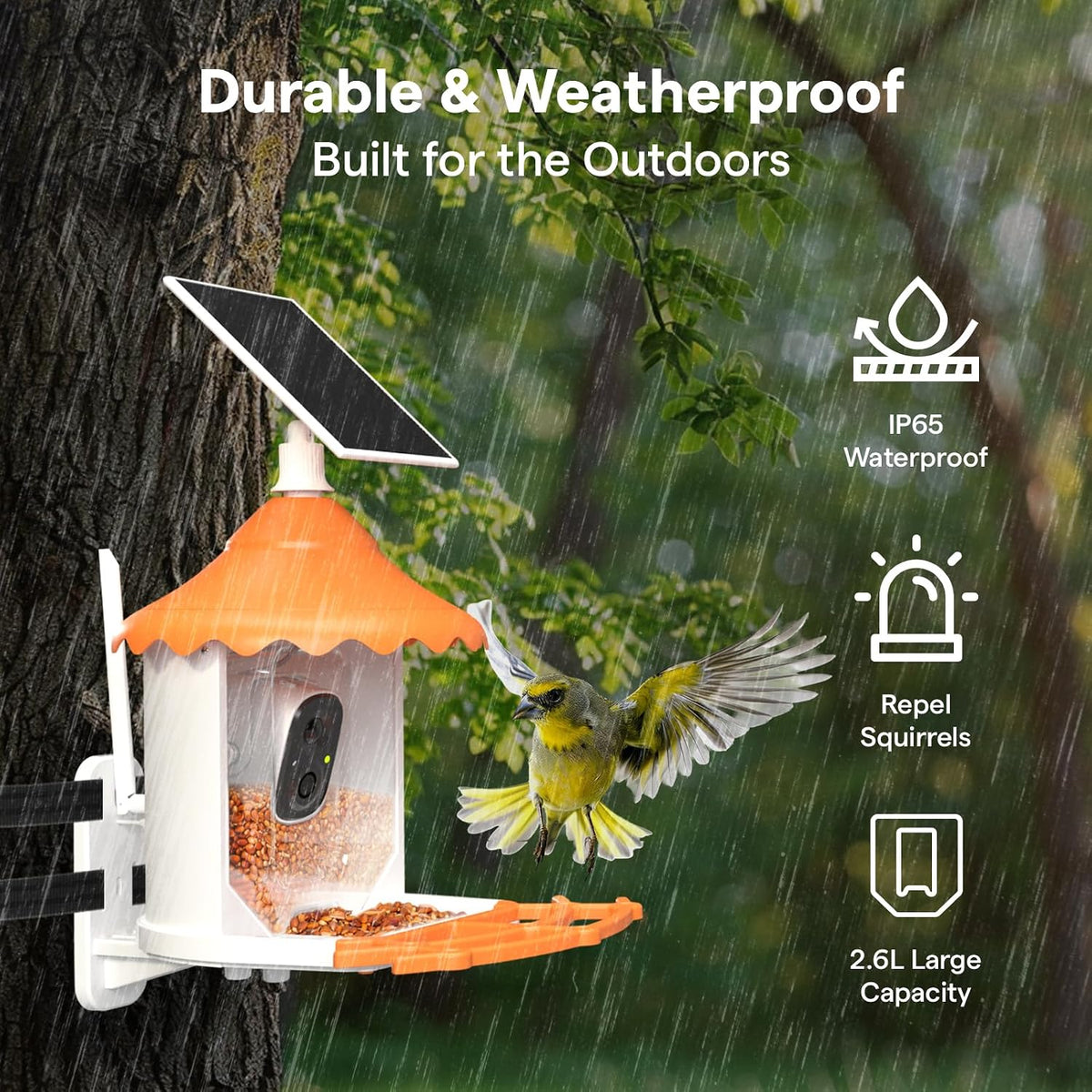birdsview bird feeder with 2k ai camera, solar showing dimensions