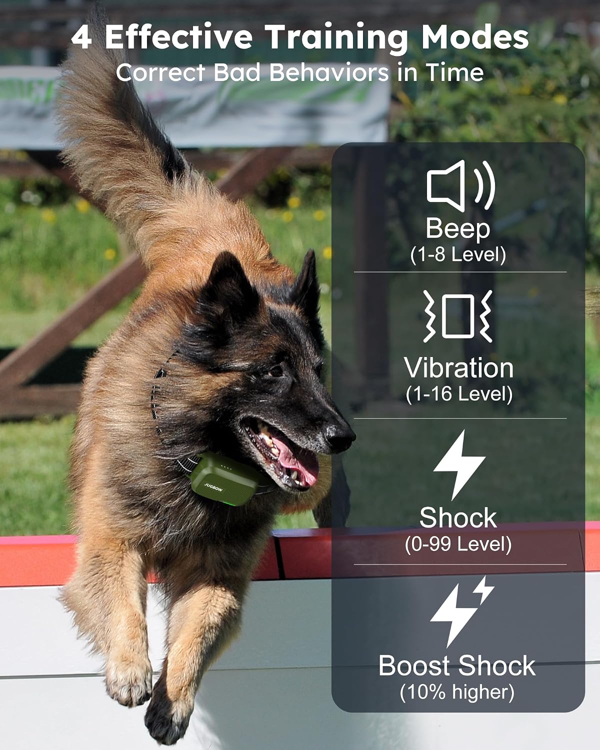shock collar for 2 dogs with remote, 4200ft shown in use