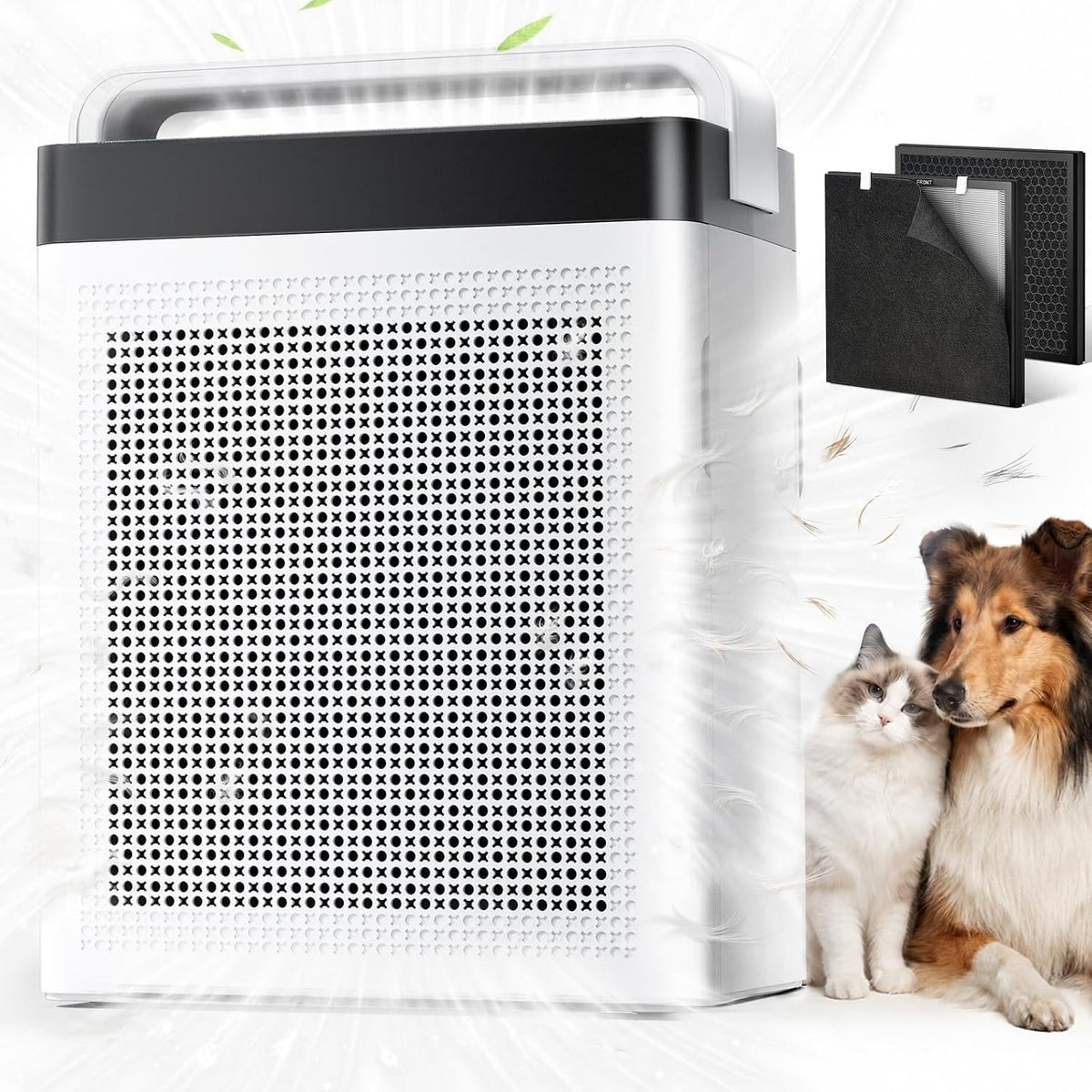 pet air purifier for home dual-sided intake, high-activated, main product view