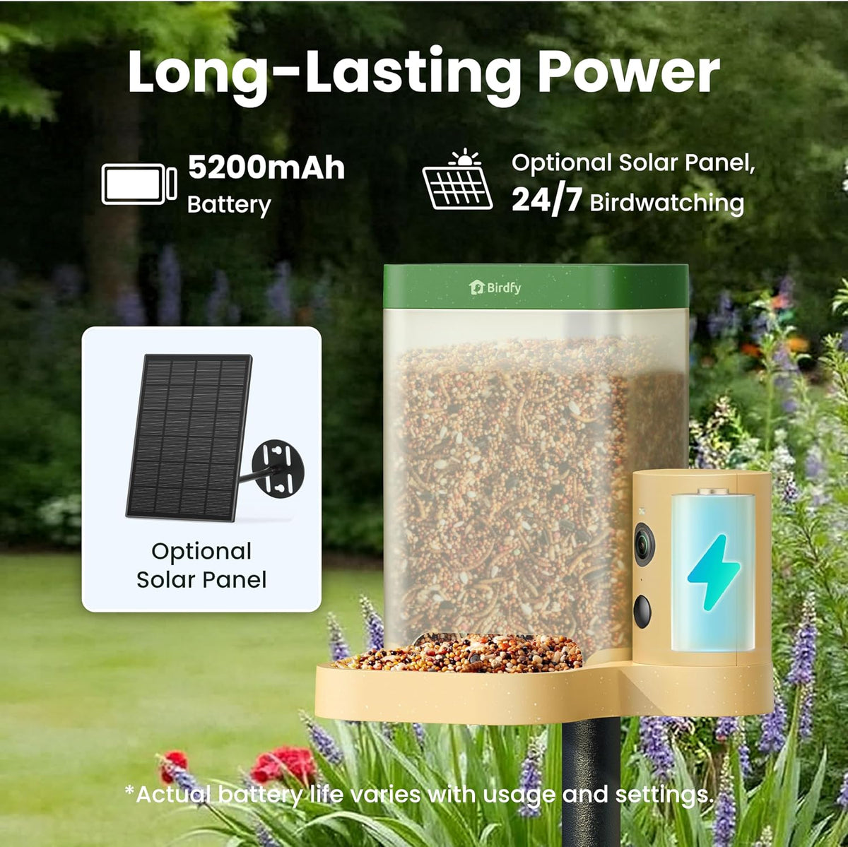 birdfy smart bird feeder with camera for beginners showing dimensions