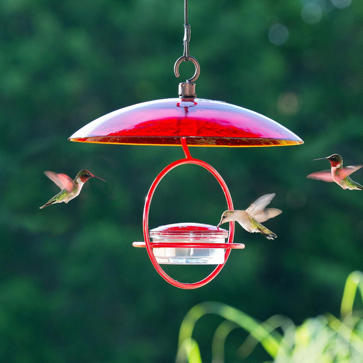 hummingbird feeder for outdoors hanging, 3.4 oz hummingbird shown in use