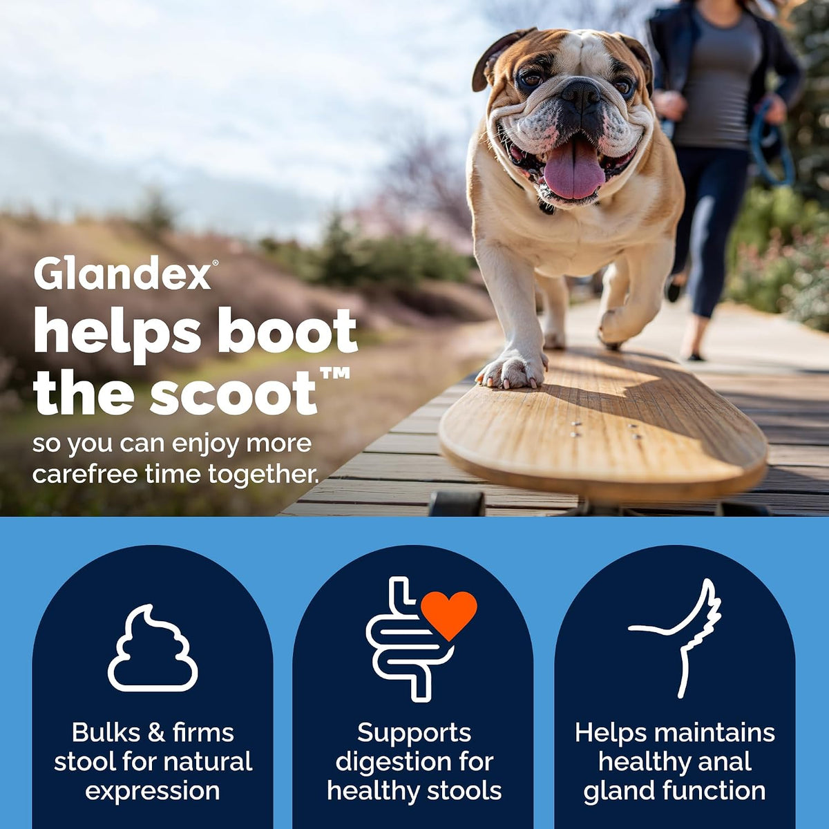 vetnique glandex for dogs advanced strength anal gland, close-up detail