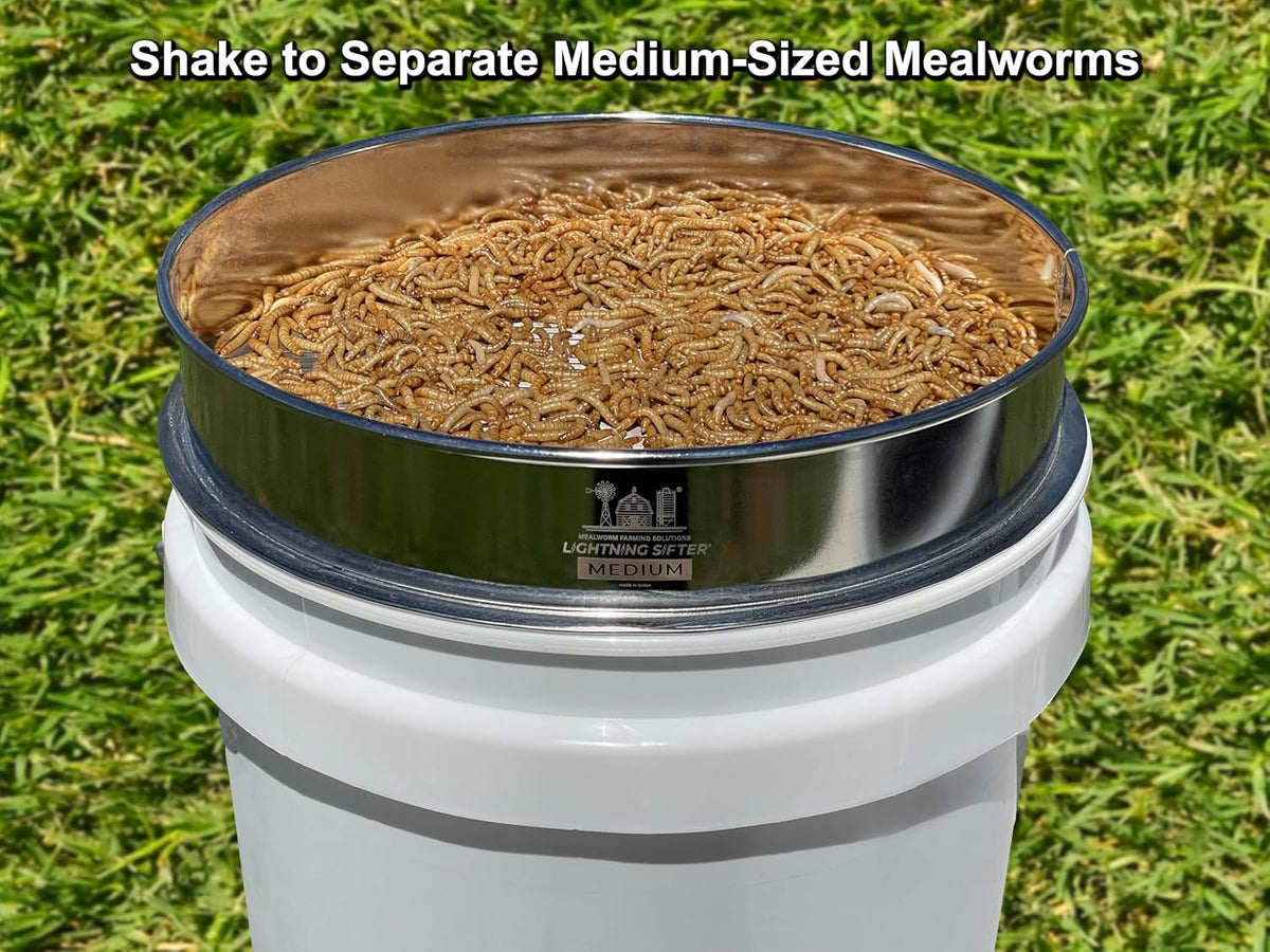 mfs' d-11 lightning sifter medium mealworm sifting pan, side view