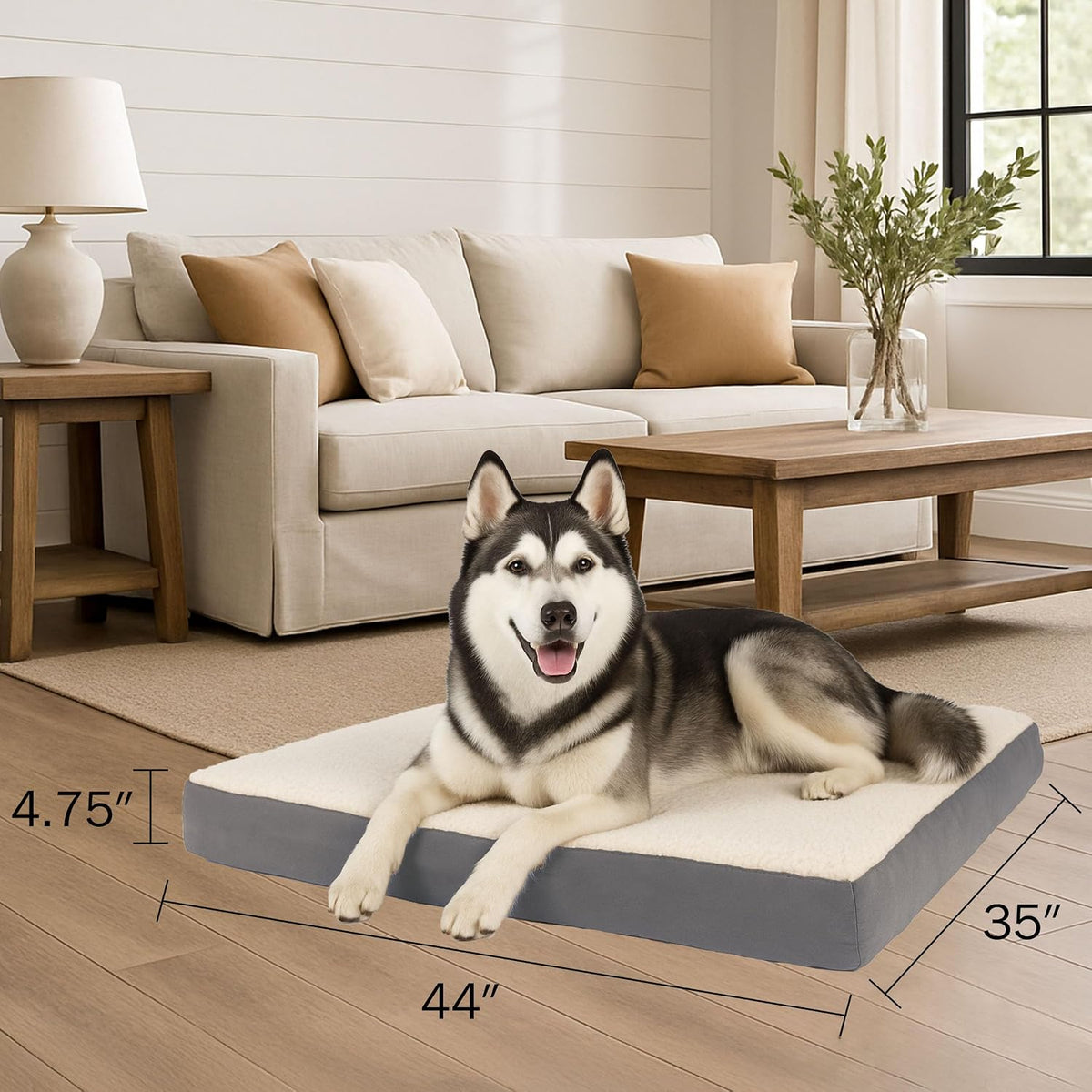 orthopedic dog bed - 2-layer 44x35-inch memory foam shown in use