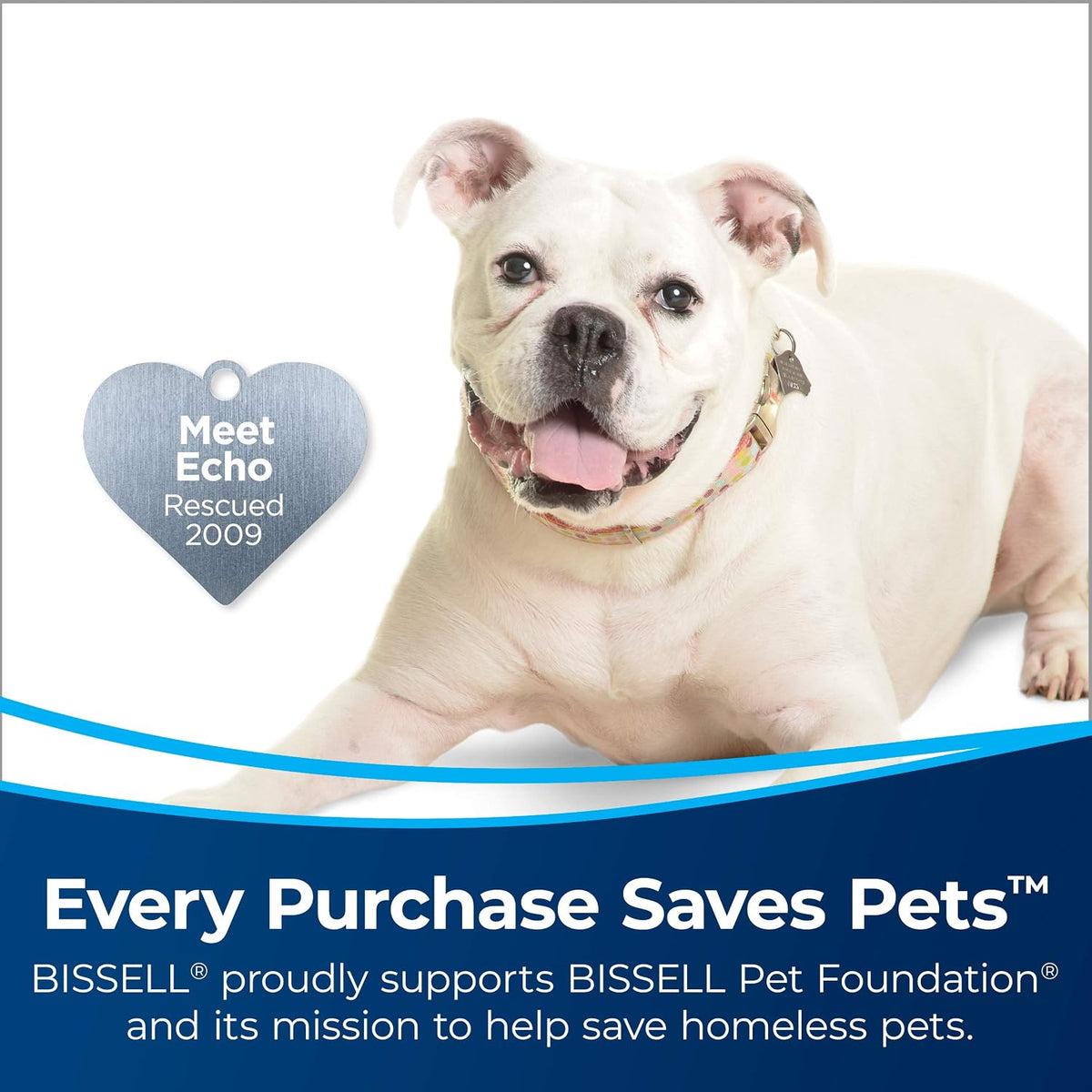 bissell proheat 2x revolution pet full size upright shown in use