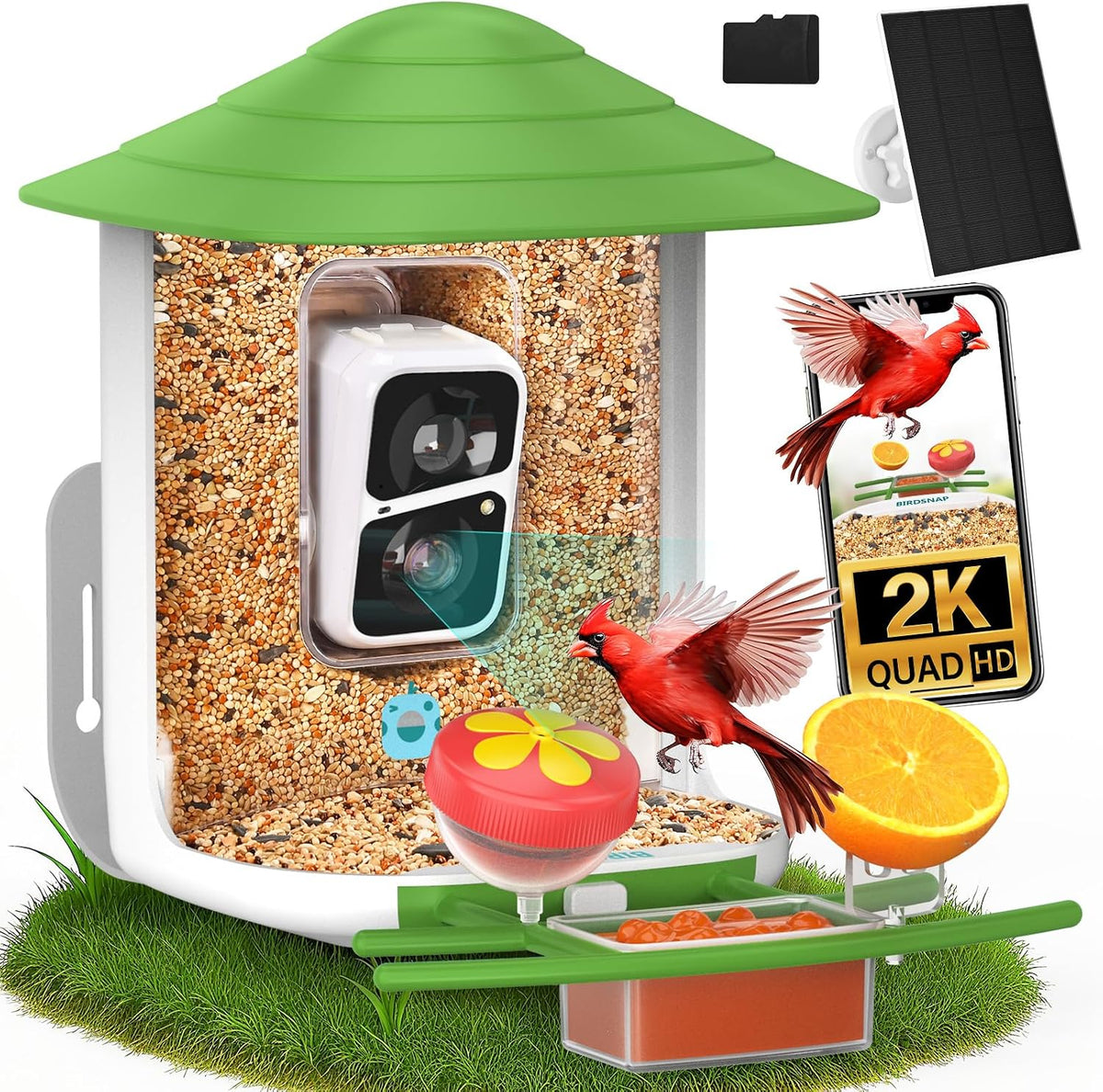 birdsnap® tuc bird feeder with camera solar powered, main product view