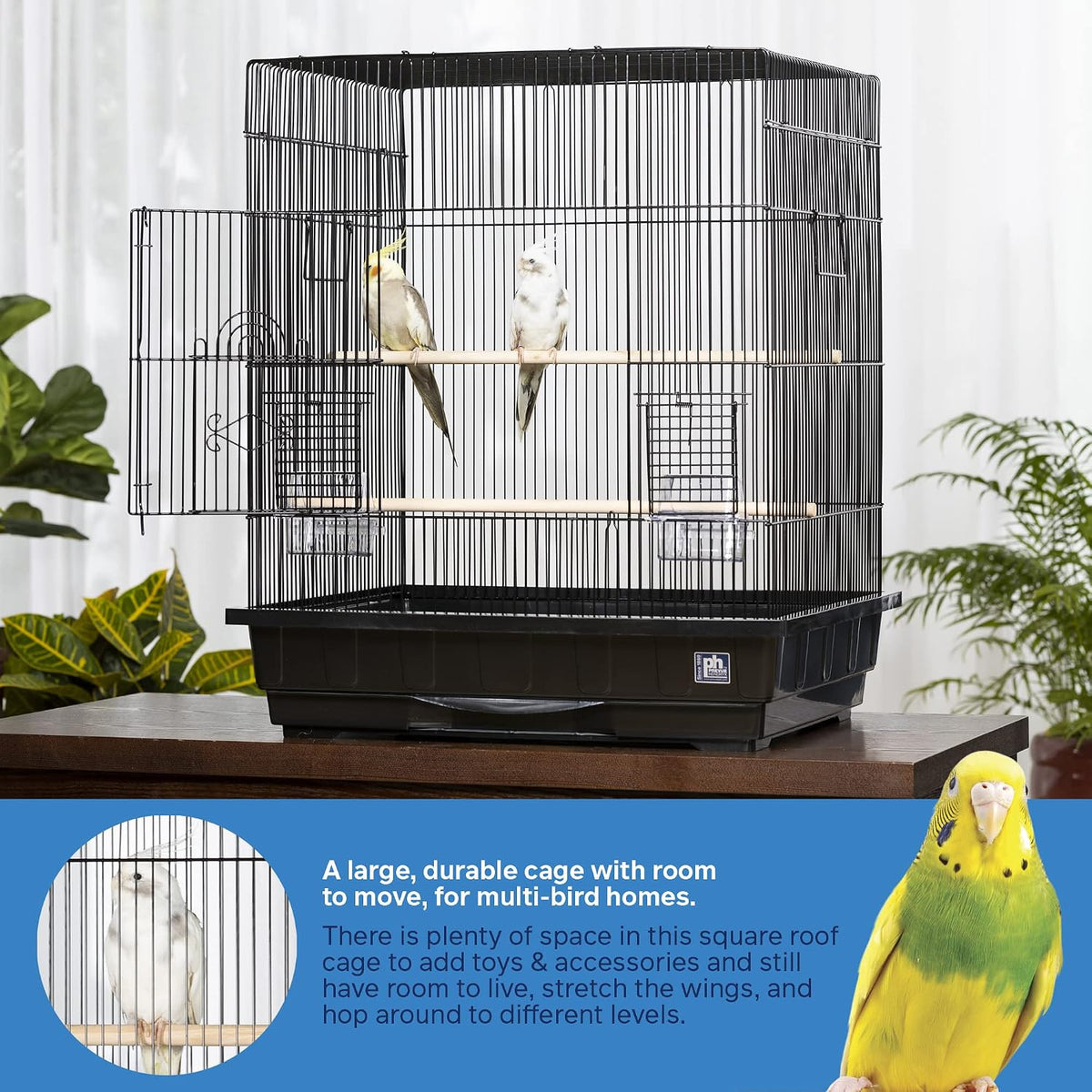prevue pet products square top parakeet cage, black, close-up detail