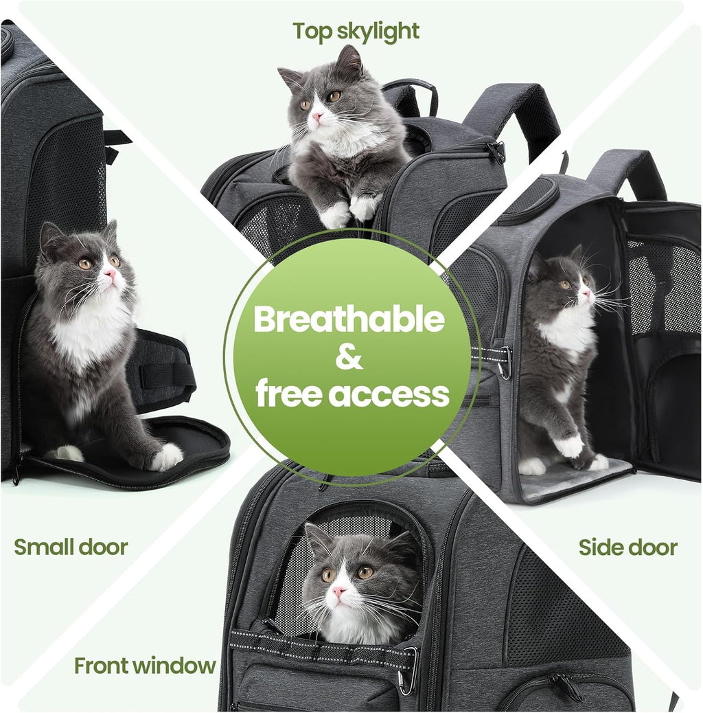 pecute ergonomic cat backpack, 30% effort-saving breathable pet on a desk or shelf