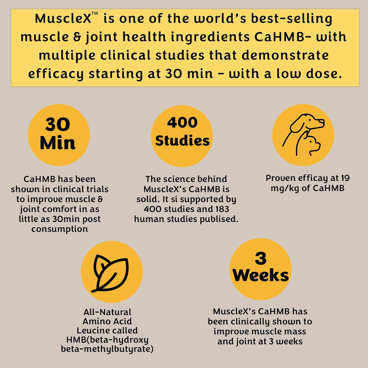 musclex™ canine muscle formula dogs with cahmb 500, side view