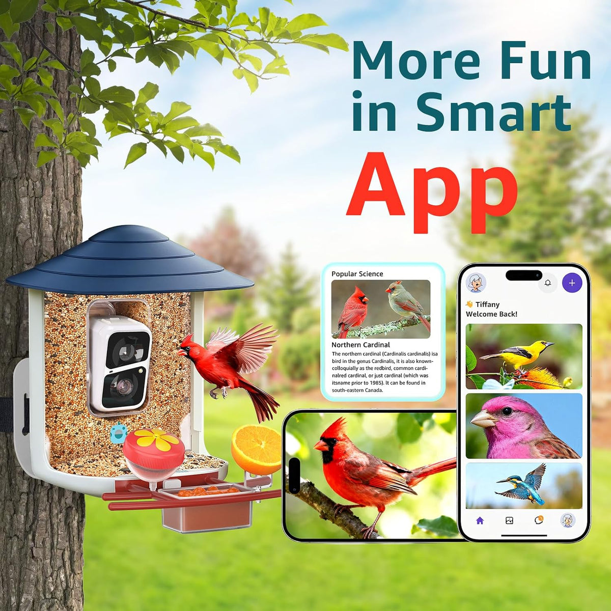birdsnap® tuc bird feeder with camera solar powered showing dimensions