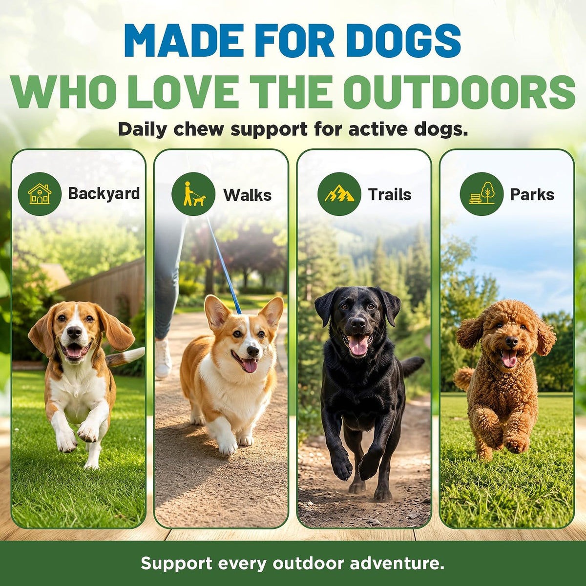 guardian’s choice flea chews for dogs, pet flea showing dimensions