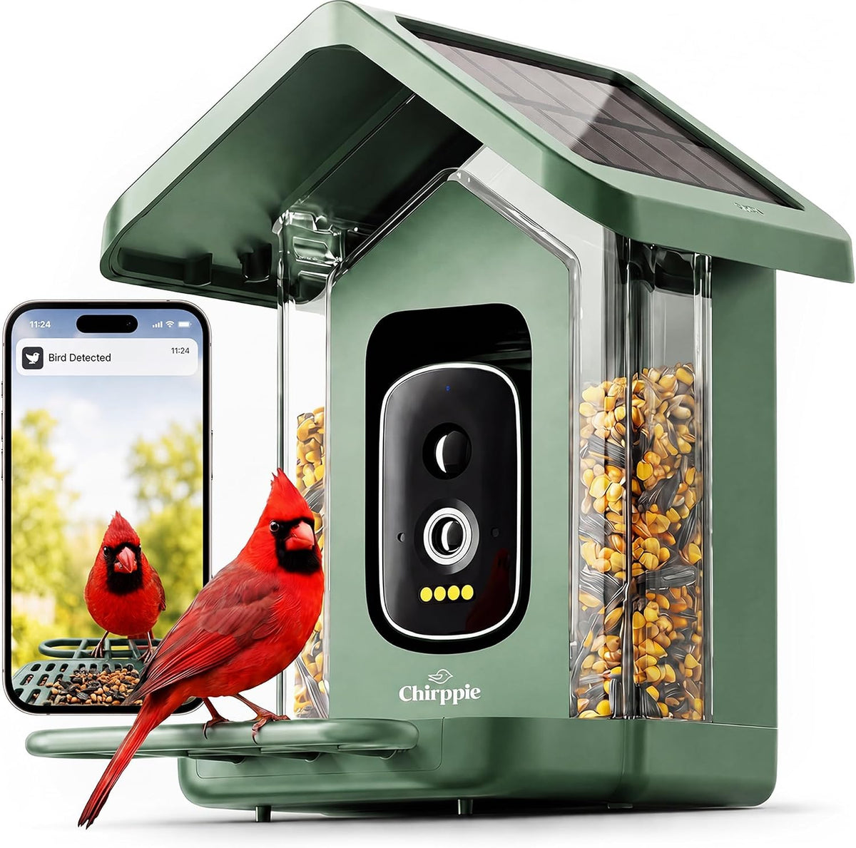 solar powered smart bird feeder with camera with, main product view