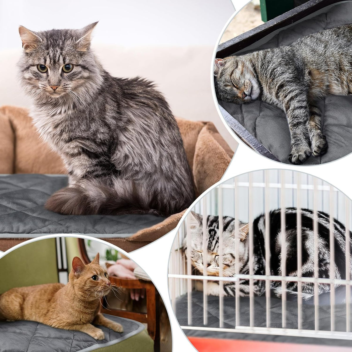 self heating cat pad self warming dog mat showing dimensions
