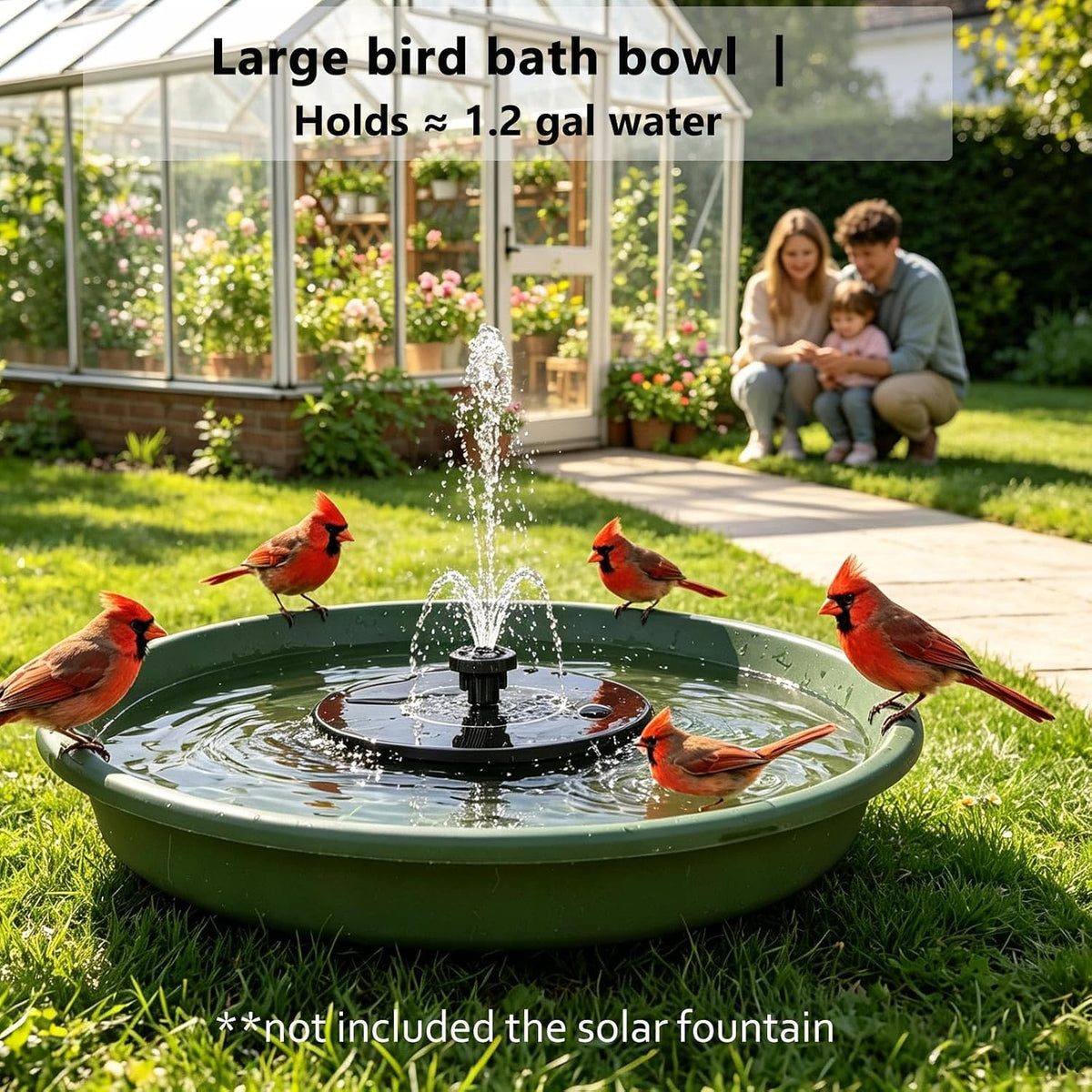 ground bird feeder & bath station set for shown in use
