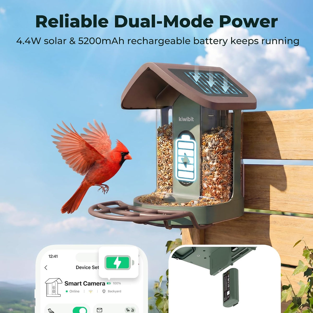 kiwibit solar smart bird feeder with camera, 4k, close-up detail