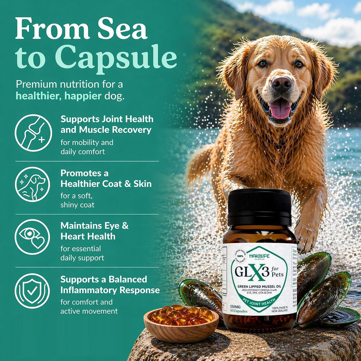 glx3 green lipped mussel oil for dogs | shown in use