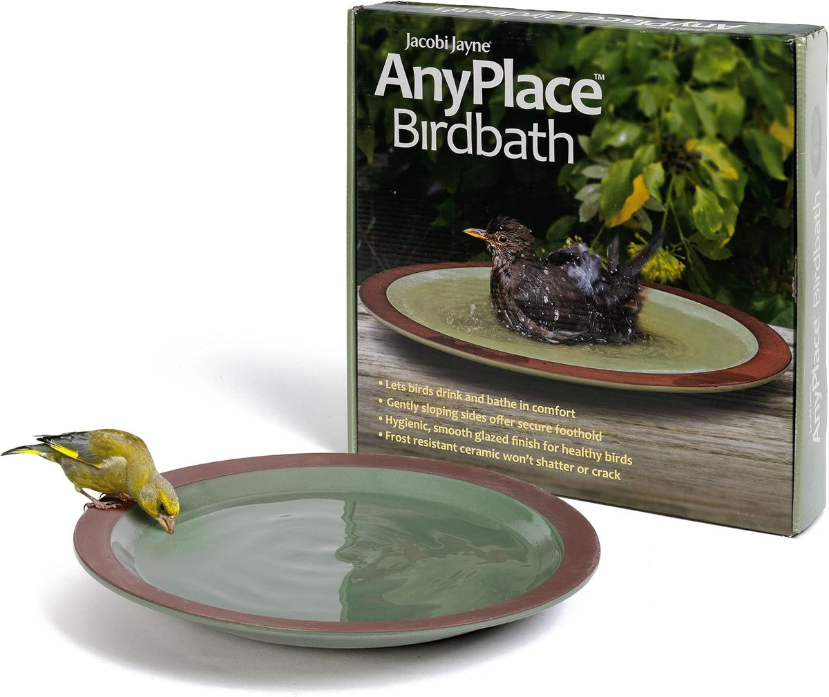 jacobi jayne bird bath for garden birds anyplace™, main product view