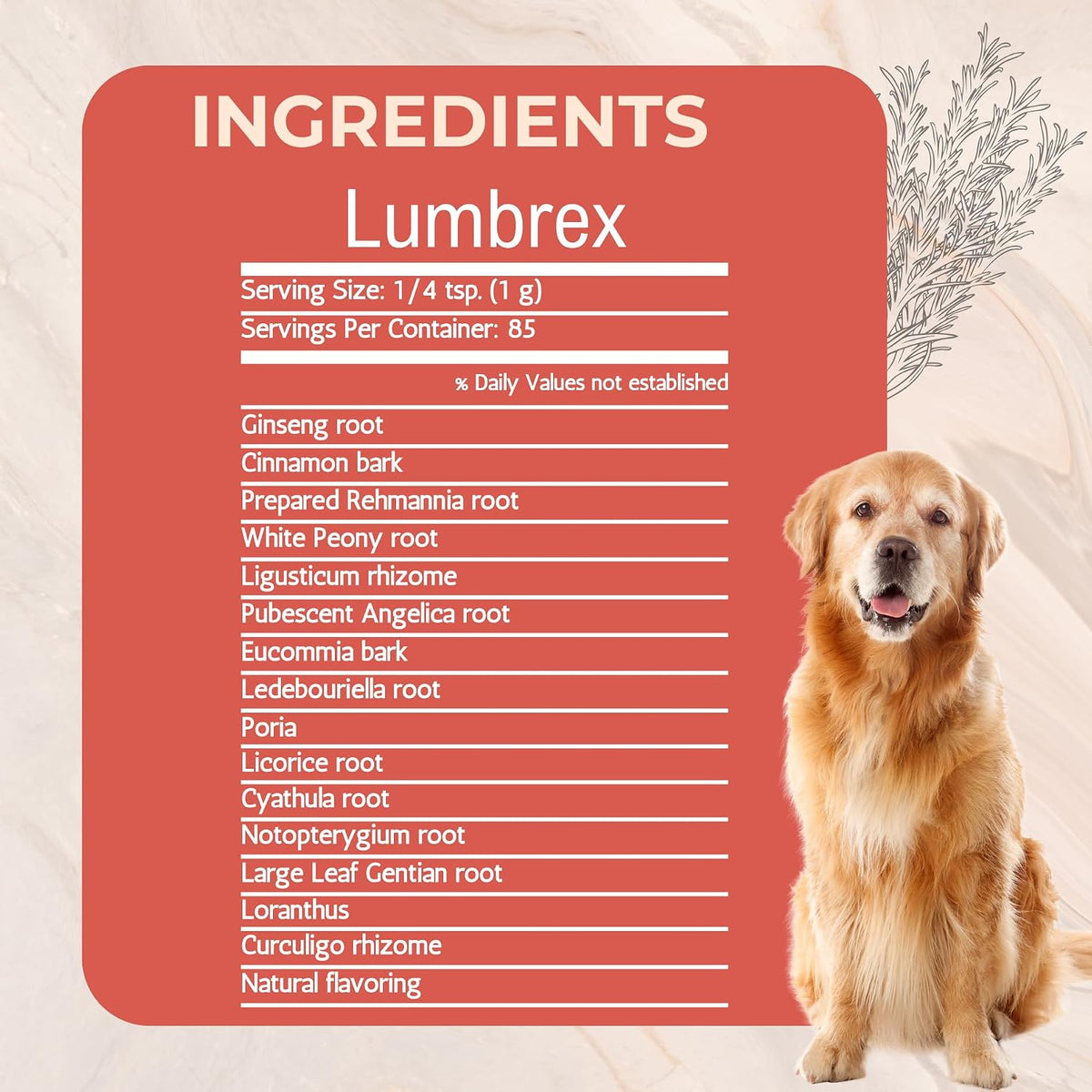 lumbrex joint pain and stiffness relief supplement for, close-up detail