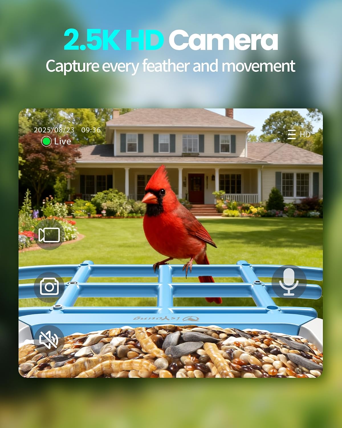 g11 smart bird feeder with camera, 2.5k, ai, close-up detail