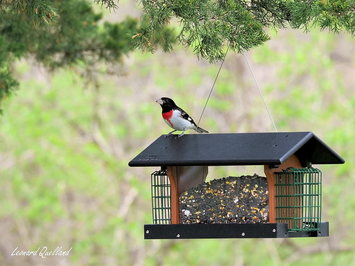 deluxe bird feeder with suet holders, made with showing dimensions