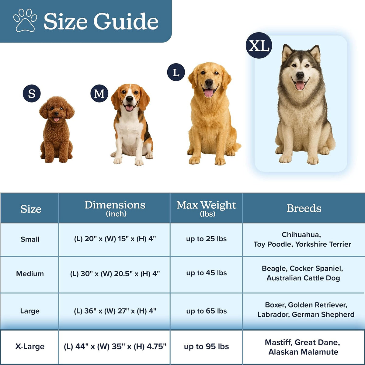 orthopedic dog bed - 2-layer 44x35-inch memory foam on a desk or shelf