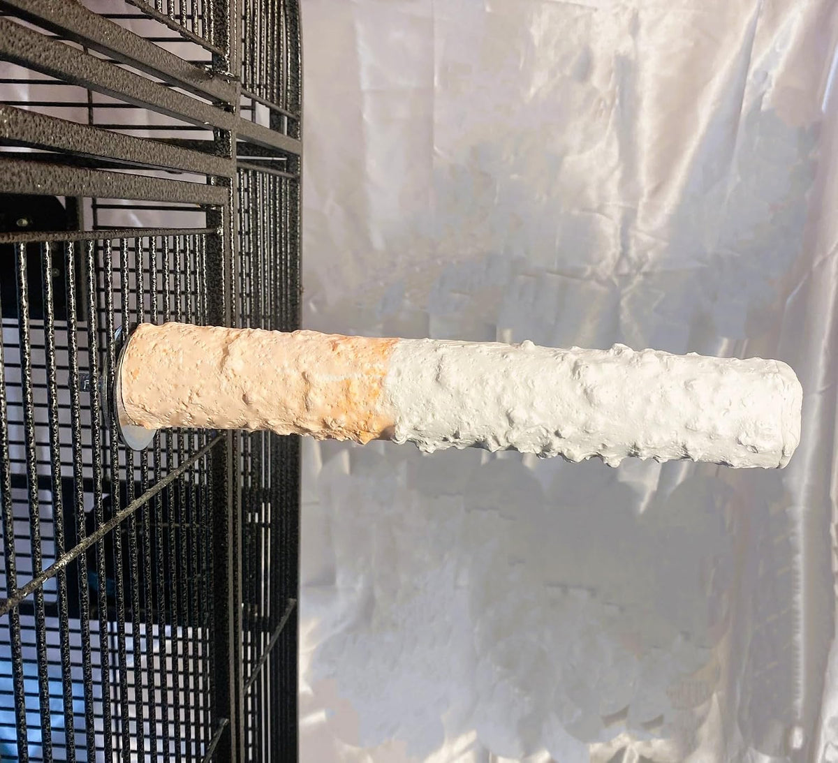 polly's edible cuttlebone calcium bird cage perch for, side view