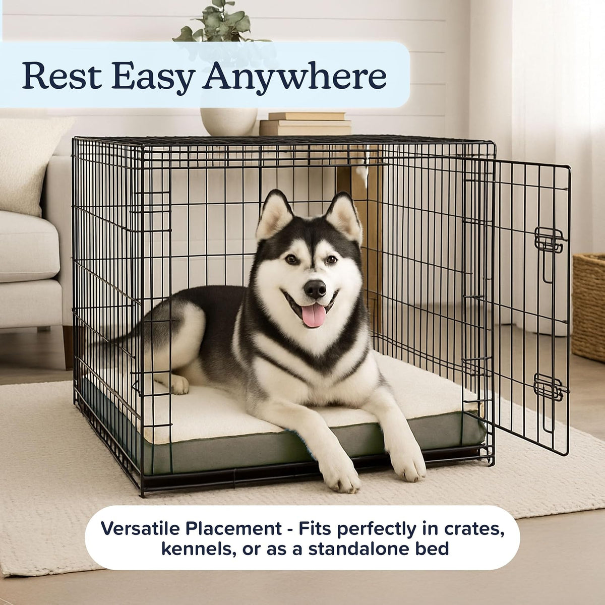 orthopedic dog bed - 2-layer 44x35-inch memory foam, package contents