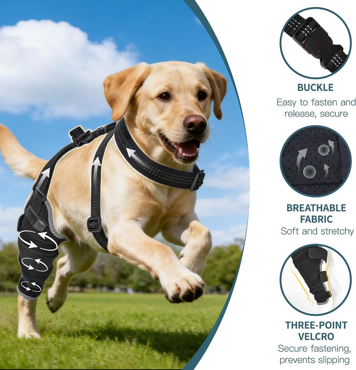 dog knee braces for back leg, dual-use for, side view
