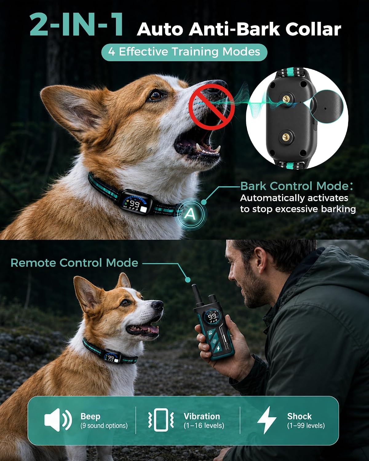 sevy buzzy 2-in-1 dog bark collar & dog shown in use