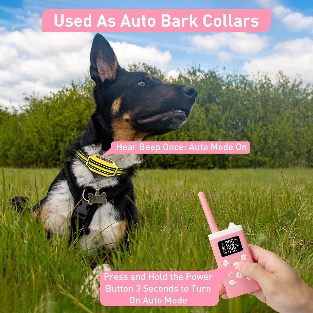 petjoy dog bark collar with remote, shock collar, close-up detail