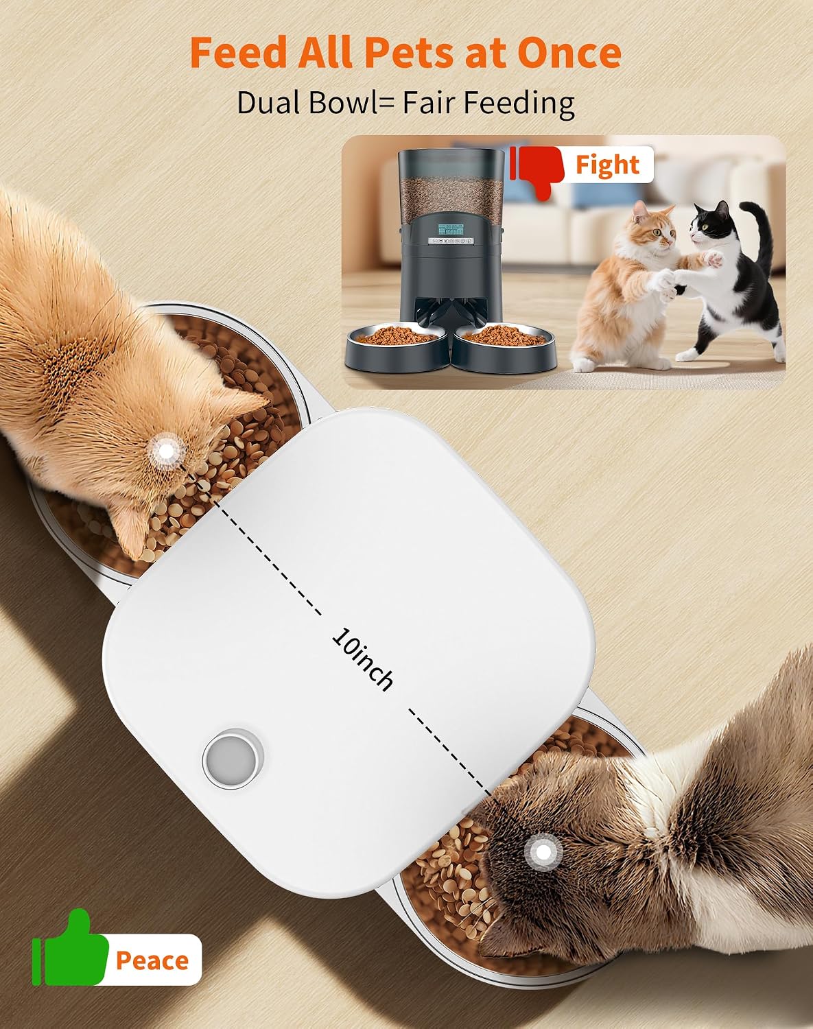 honeyguaridan automatic cat feeder for 2 cats,automatic cat shown in use